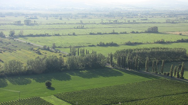 Balaton_2011