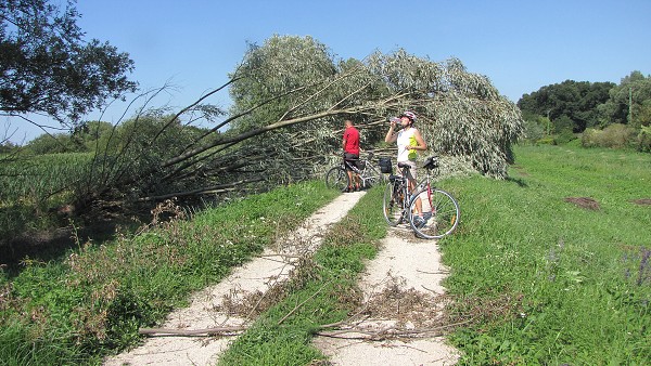 Balaton_2011