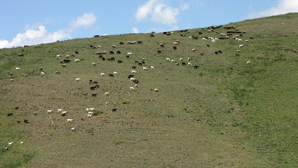 Kyrgyzstán_2014