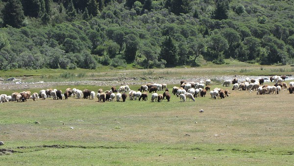 Kyrgyzstán_2014