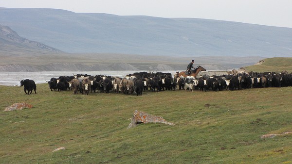 Kyrgyzstán_2014