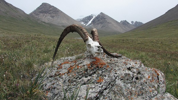 Kyrgyzstán_2014