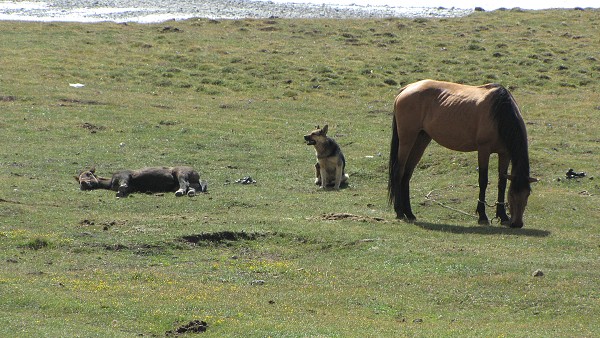 Kyrgyzstán_2014