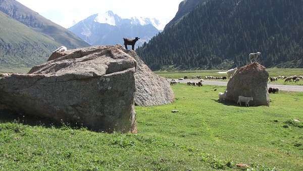 Kyrgyzstán_2014