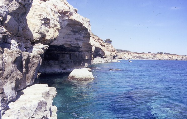 Malorca