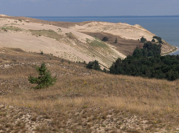 Kurská Kosa - duny